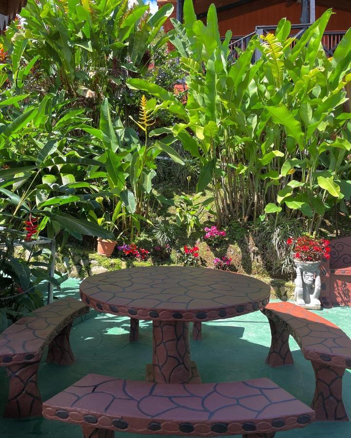 Dreams Lodge Orosi Cartago Bagian luar foto