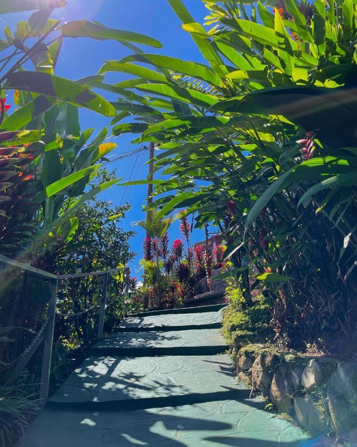 Dreams Lodge Orosi Cartago Bagian luar foto