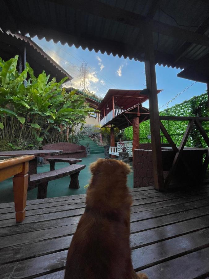 Dreams Lodge Orosi Cartago Bagian luar foto