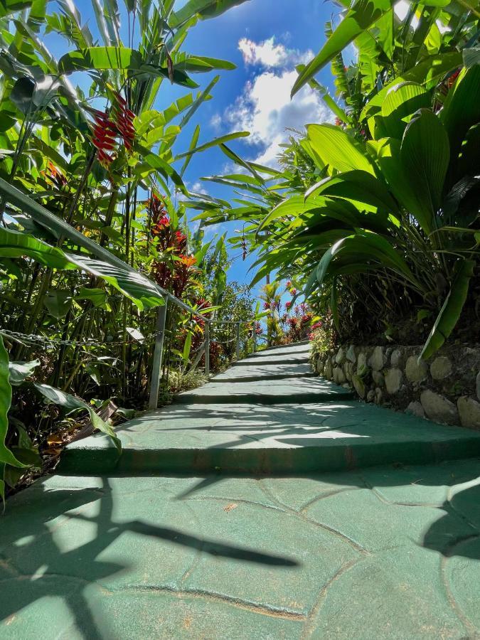 Dreams Lodge Orosi Cartago Bagian luar foto