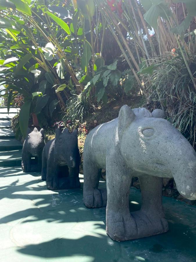 Dreams Lodge Orosi Cartago Bagian luar foto